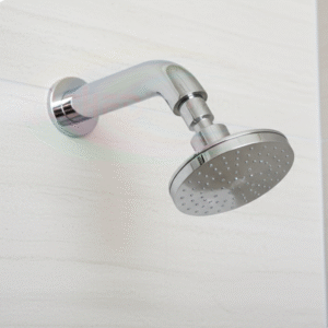 Round Moving Shower RC