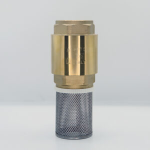 Foot Valve S.S Net Hoto