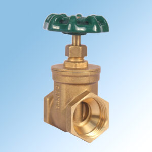 SANWA GATE VALVE